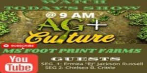 A poster for an event with the words " ag + culture " written on it.