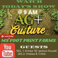 A picture of the show with text that says " watch today 's show at 9 am ag + culture ms ' foot print farms guests."